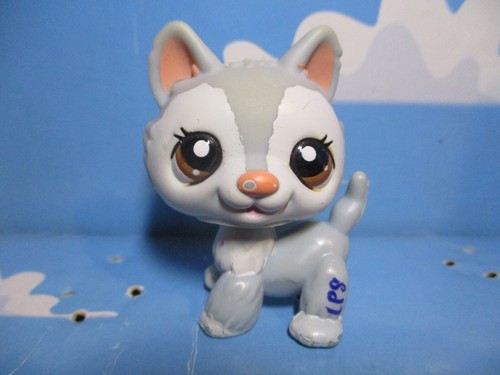 Petshop chien husky - husky, n°1930