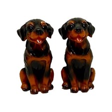 Pair Of Sitting Rottweiler