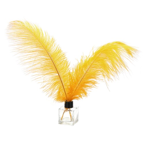 Plumes autruche - 30,