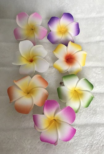 Pince clip barrette - , cheveux