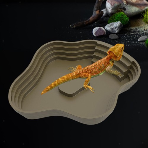 Piscine baignade reptile - piscine, de