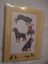 CARTE + ENVELOPPE - chien   ROTTWEILER