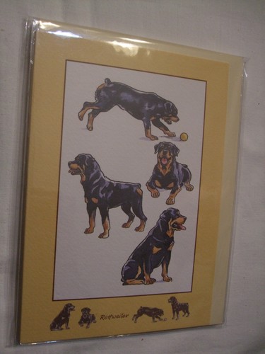 Carte enveloppe chien - +,