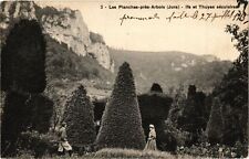 CPA Les PLANCHES-PRES-ARBOIS - Ifs et Thuyas seculaires (211528)