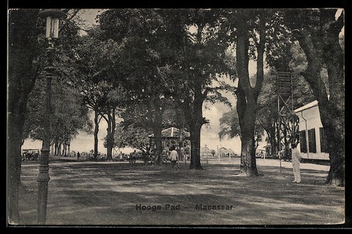Carte postale macassar hooge - carte, macassar,