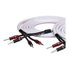 Câble haut-parleur audio Chord Odyssey X, une paire de prises ohmiques avec a...