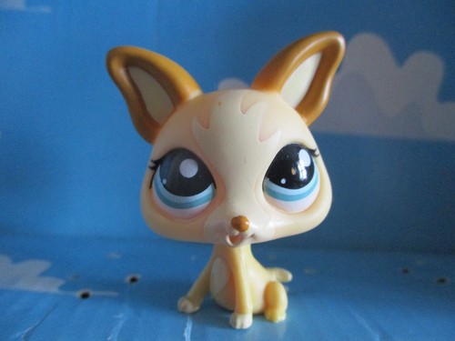Petshop chien chihuahua - petshop,