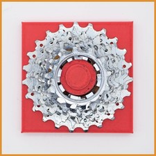 CAMPAGNOLO RAPICE 12 23