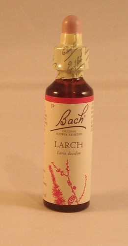 Remèdes fleurs bach larch - de,