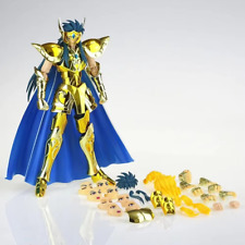 🌈 Camus du Verseau CS Saint