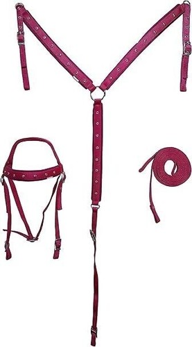 Ensemble ridex rose - ridex,