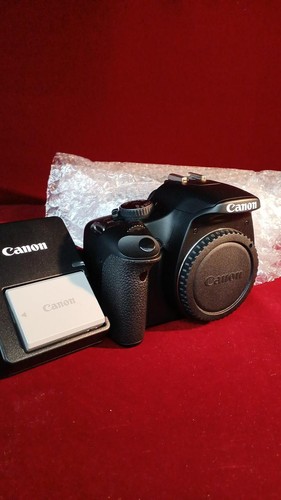 Kit double zoom reflex