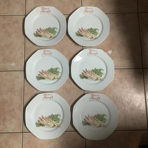 Service asperges limoges - asperges,