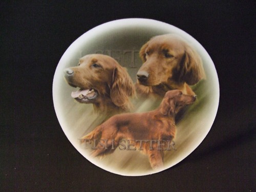Tapis souris setter - -,