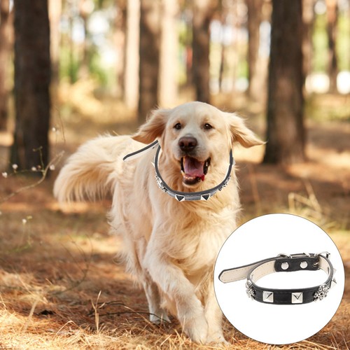 Collerette pour chien collier - collerette,