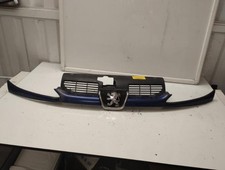 Calandre PEUGEOT 206 PHASE 1