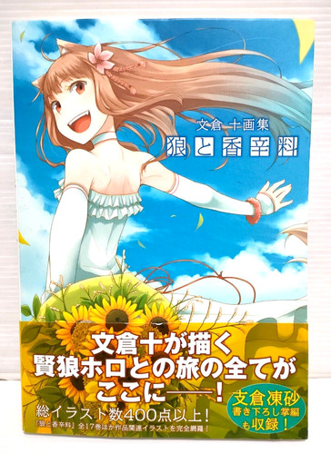 Livre art illustration - livre, d'art
