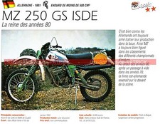 MZ 250 GS ISDE ( photo