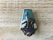 Insigne ski montagne valberg