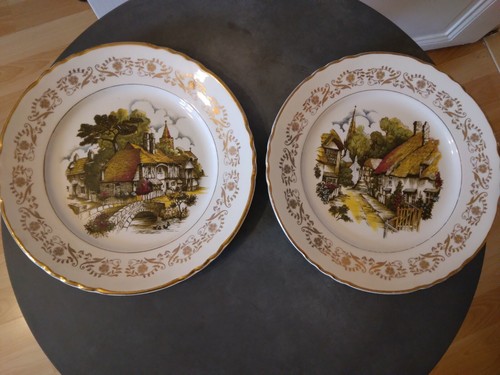 Assiettes vintage moulin des - assiettes,