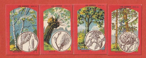 Chromos les arbres - 4,