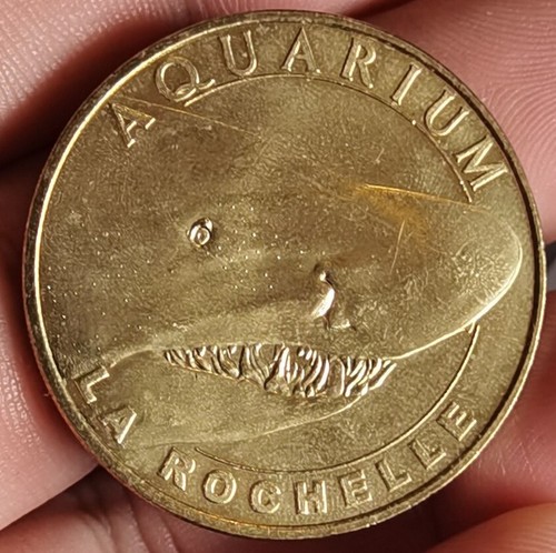 Mdp aquarium requin - mdp,
