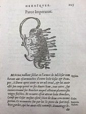 Bouclier 1557 Jules Cesar Pompée Flèche Guerre des Gaules Centurion Romain