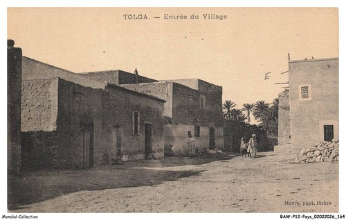 Bawp12 1171 algerie tolga - bawp12-1171-algerie,