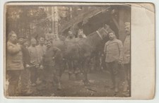 carte photo poilus avec