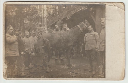 Carte photo poilus - photo, avec