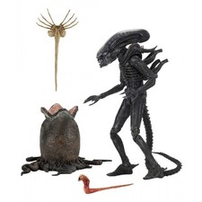 Alien 1979 40th anniversary - -,
