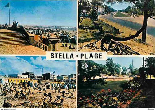 Carte postale stella - 62,