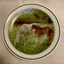 Plat assiette en porcelaine