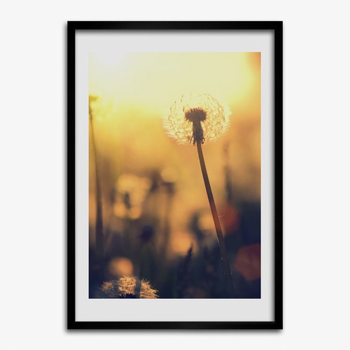 Photo 50x70cm cadre - cadre, décor