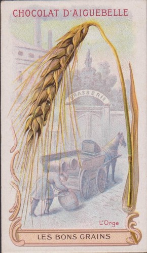 Chromo ancien chocolat - chromo,