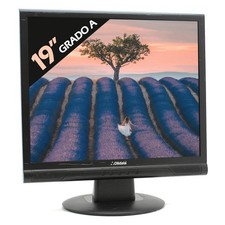 Moniteur Écran Affichage Lcd Olidata Mr19f05n 19" 4:3 5:4 Vga Vesa Rénové