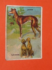 CHROMO 1900-1925 CHOCOLAT