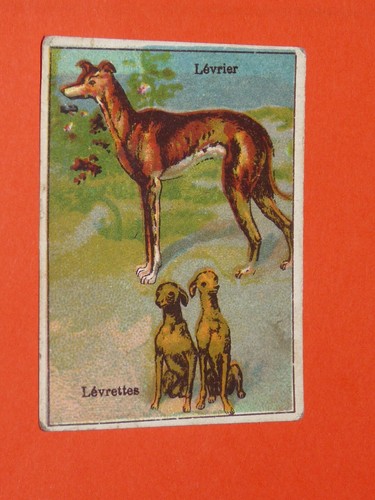 Chromo 1900 1925 chocolat - 1900-1925,