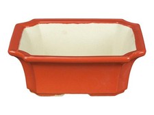 Pot à bonsaï rectangulaire