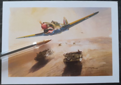 Turner curtiss p40 - turner-curtiss, _
