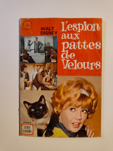 Livre walt disney - ,