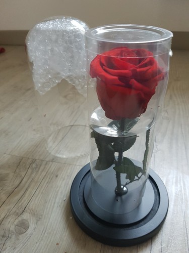 Rose eternelle sous cloche - eternelle,