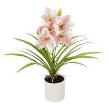 Orchidée Artificielle en Pot