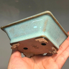 Pot à bonsaï japonais SHOUN