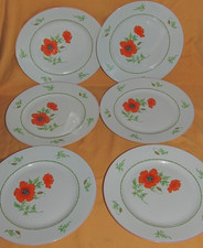 Série de 6 assiettes plates