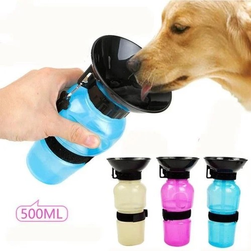 Accessoires pour chiens