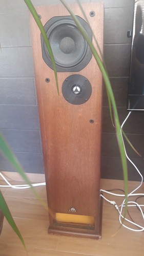 Castle chester speakers - castle,