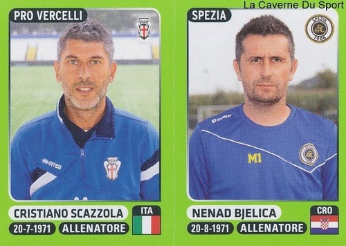 659 scazzola italia pro - scazzola,