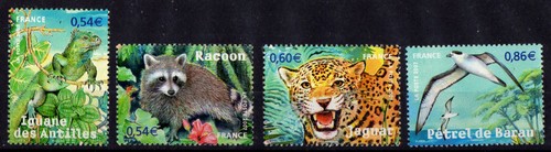 France 2007 faune raton - 2007,