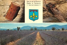 Belles images de Provence - tambourin - cigale - champ lavande -